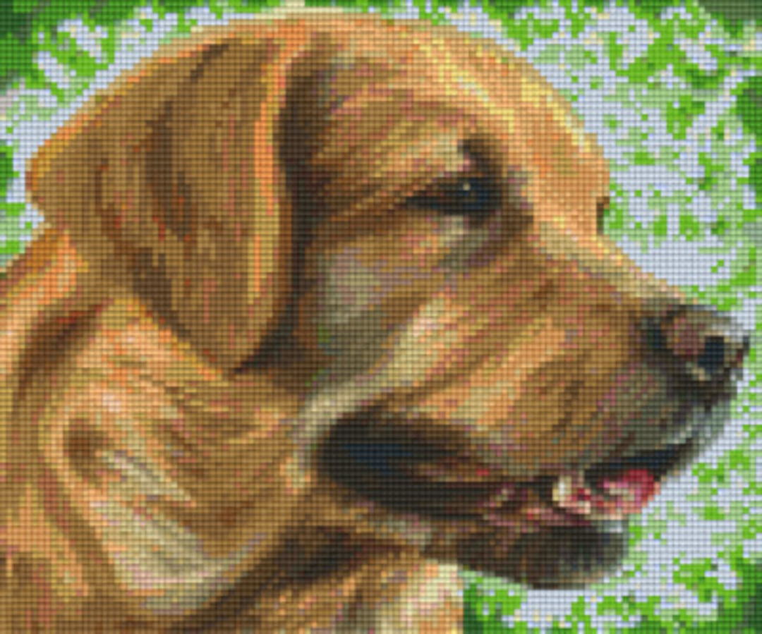 English Labrador Six [6] Baseplate PixleHobby Mini-mosaic Art Kits image 0